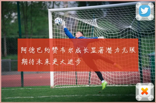 阿德巴约赞韦尔成长显著潜力无限期待未来更大进步